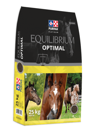 Equilibrium Optimal