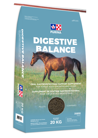  Digestive balance
