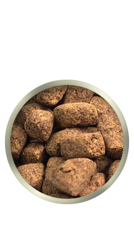 Purina Canada  Apple Chunks